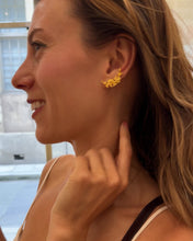 Load and play video in Gallery viewer, Boucles d’Oreilles Rosier Gaby
